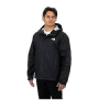 The North Face logo